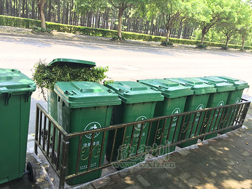 汤岭脚村：推进垃圾分类 实现村庄“美丽转身