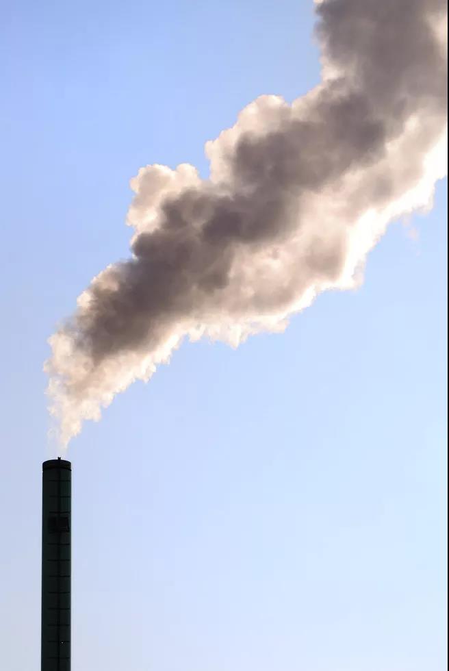 垃圾分类 垃圾分类